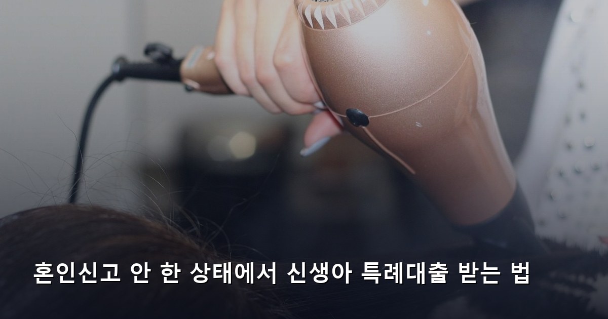혼인신고 안 한 상태에서 신생아 특례대출 받는 법